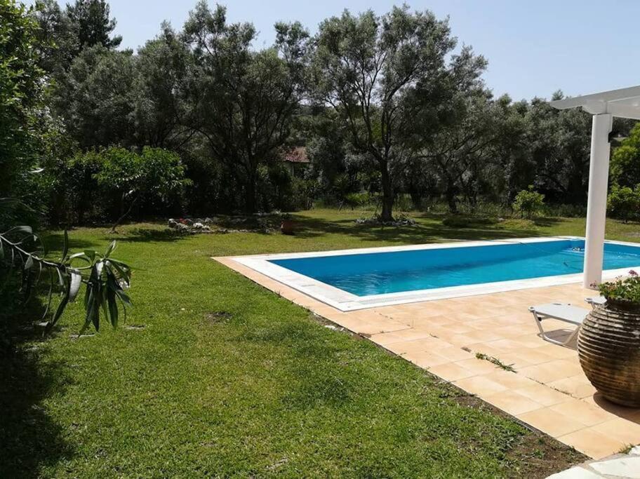 Villa Erietta Near Lefkas Center Apolpaina Екстер'єр фото