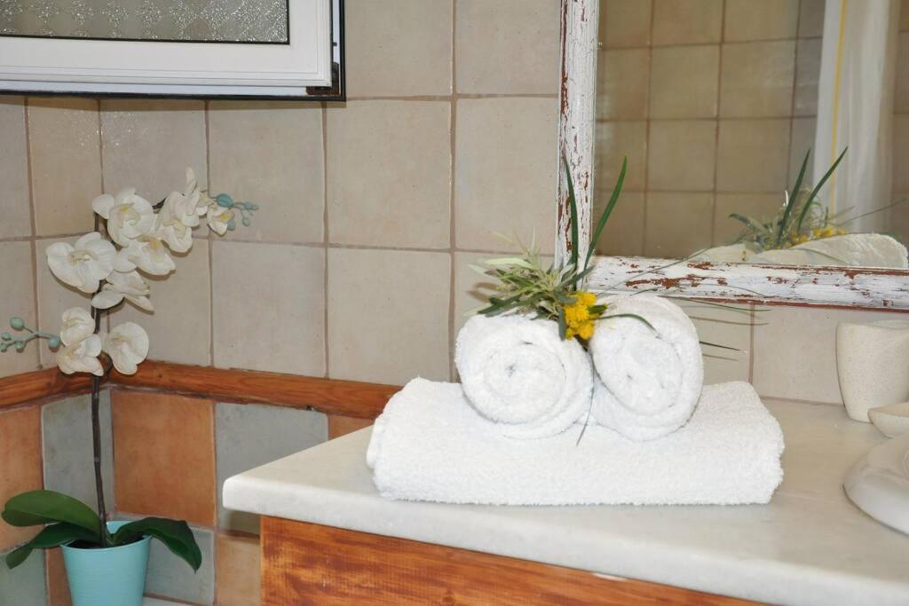 Villa Erietta Near Lefkas Center Apolpaina Екстер'єр фото