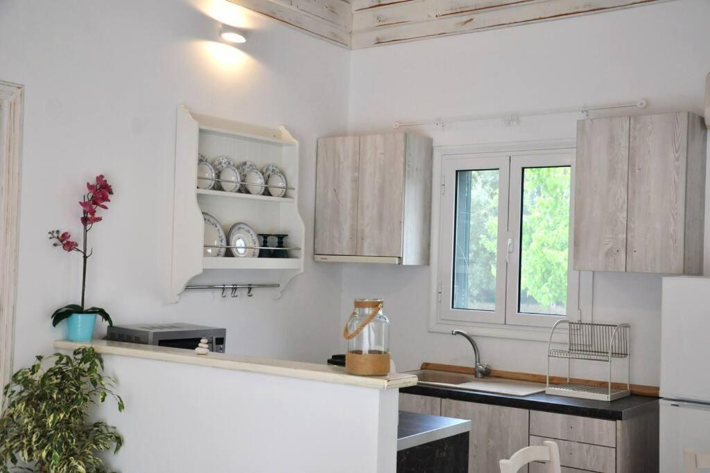 Villa Erietta Near Lefkas Center Apolpaina Екстер'єр фото