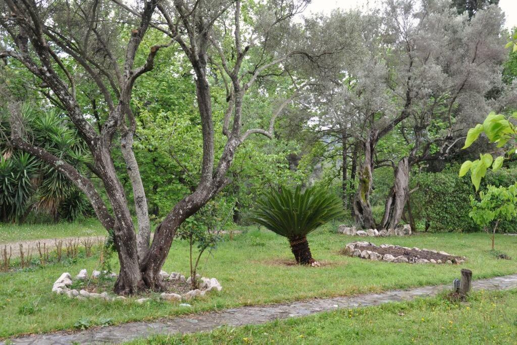 Villa Erietta Near Lefkas Center Apolpaina Екстер'єр фото